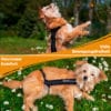 Protection contre les fuites - Kleck