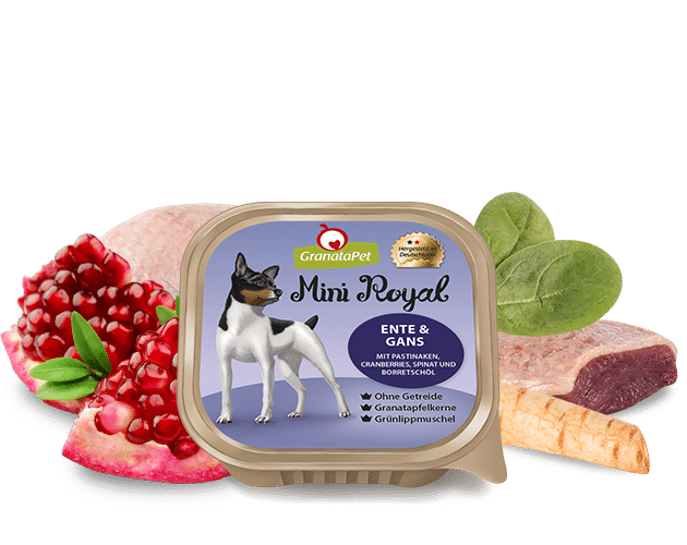 GP Mini Royal Ente und Gans 150g Schale
