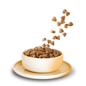 Alternative view of KITTY Cat Huhn Adult