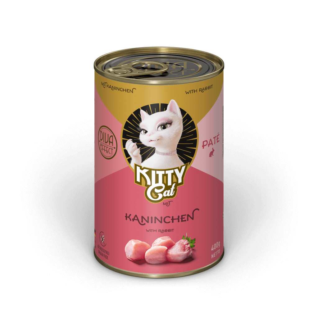 KITTY Cat Kaninchen