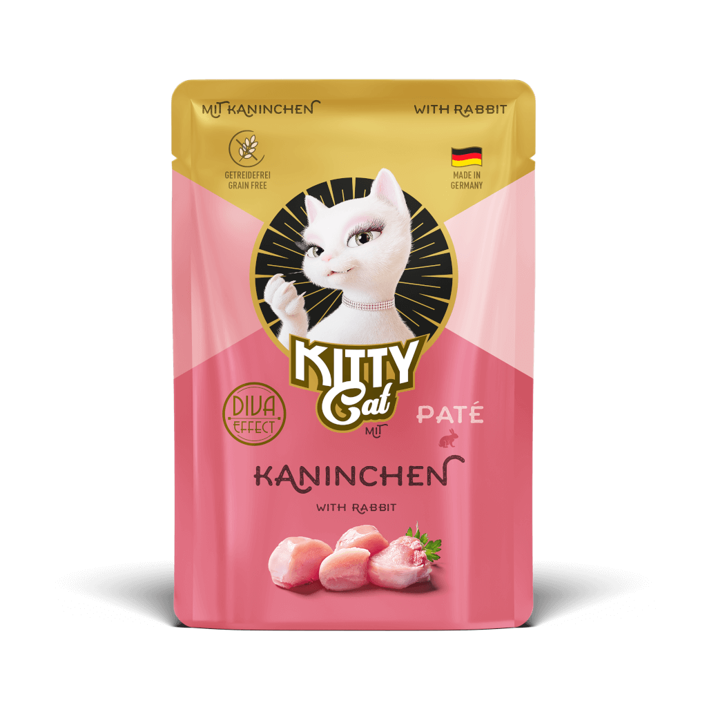 KITTY Cat Kaninchen