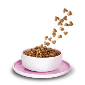 Alternative view of KITTY Cat Huhn Kitten