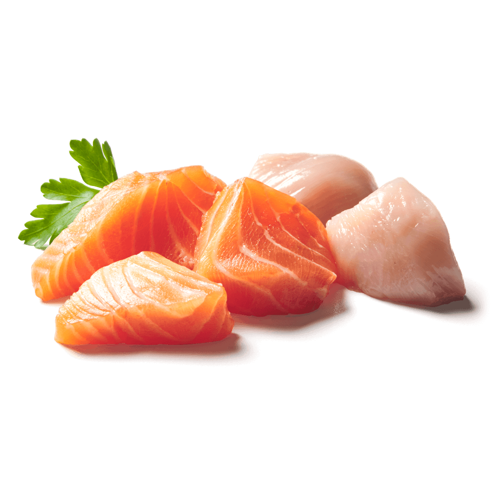 KITTY Cat Lachs & Geflügel – Bild 2