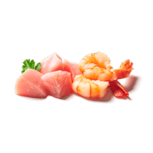 Alternative view of KITTY Cat Pute & Shrimps