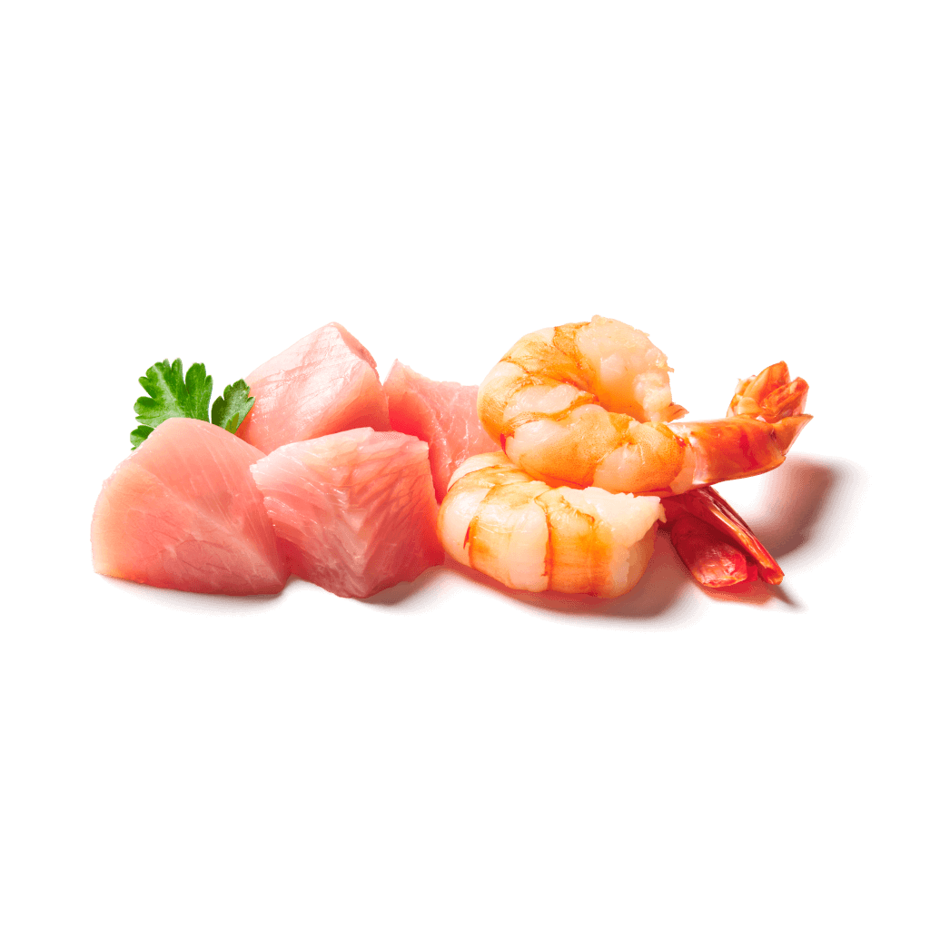 KITTY Cat Pute & Shrimps – Bild 2